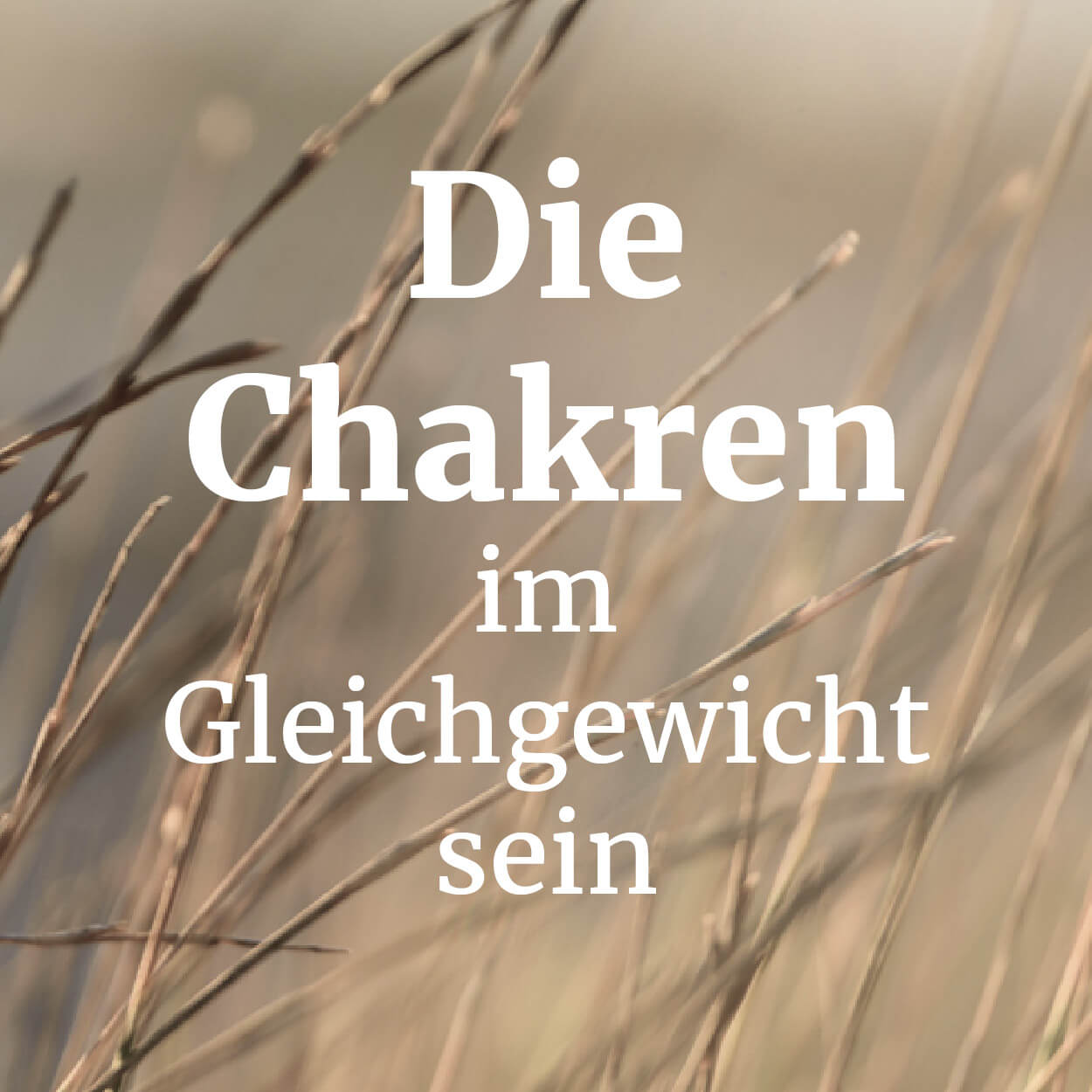 Die Chakren - im Gleichgewicht sein. Bild mit Ären im Braunton